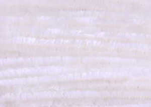 Bild på Standard Chenille Large (6mm) White
