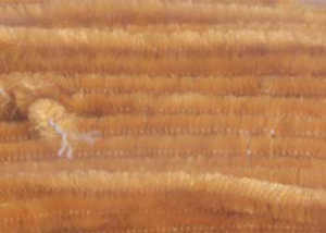 Bild på Standard Chenille Large (6mm) Ginger