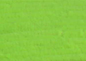 Bild på Standard Chenille Large (6mm) Fluo Green