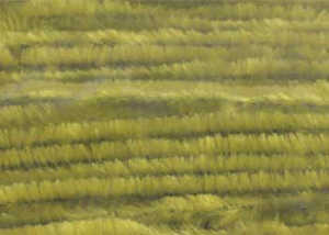 Bild på Standard Chenille Medium (4mm) Light Olive