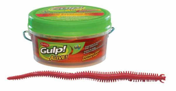 Bild på Gulp Alive Sandworm