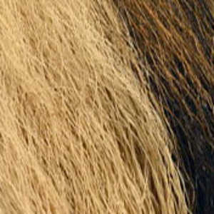Bild på Hjortsvans/Bucktail i bitar Tan