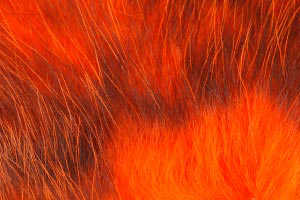 Bild på Pro US Opposum Hot Orange