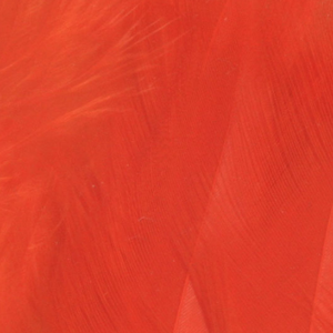 Bild på Lösa fjädrar från tuppsadel Orange