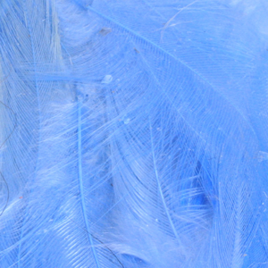 Bild på Lösa fjädrar från tuppsadel Blue