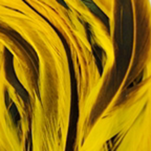 Bild på Tupphackel Badger Yellow