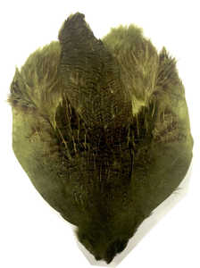 Bild på Rapphöna Hungarian (Helt skinn) Olive