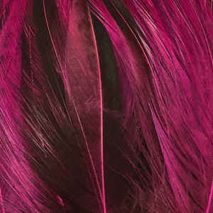 Bild på Tupphackel Badger Fluo Pink