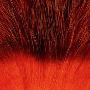 Bild på American Opposum Orange 