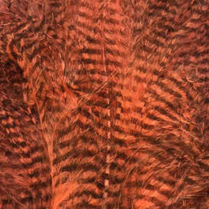 Bild på Marabou Fine Barred Feathers Fluo Shell Pink
