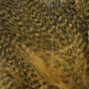 Bild på Marabou Fine Barred Feathers Wood Duck Gold