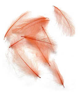 Bild på Swiss CDC Feathers Ultra Select XL Pomegranate