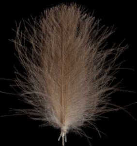 Bild på Swiss CDC Feathers Standard Brown