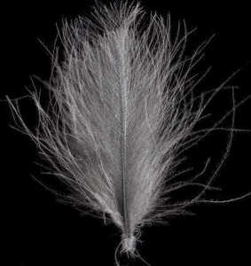 Bild på Swiss CDC Feathers Standard Pale Dun