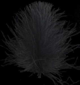 Bild på Swiss CDC Feathers Standard Black