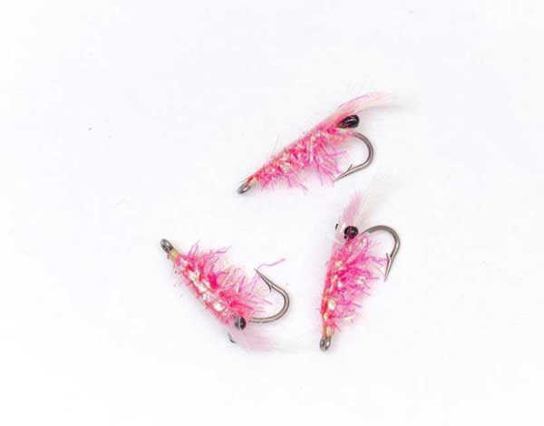 Bild på Crystal Shrimp Pink #6