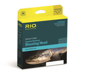 Bild på Rio Coastal Seatrout Shooting Head Hover #8/9