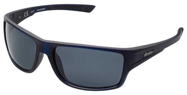 Bild på Berkley B11 Sunglasses Black/Grey