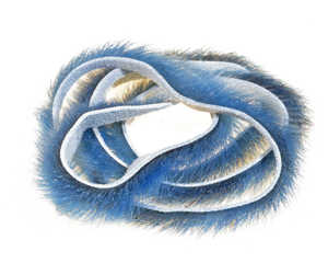 Bild på A.Jensen Seal Zonker Strips Blue