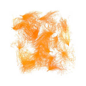 Bild på CDC Oiler Puffs Fluo Orange