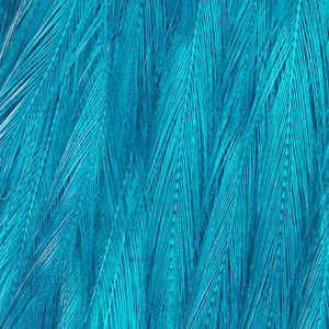 Bild på Indiska tuppnackar (AA Grade) Kingfisher Blue