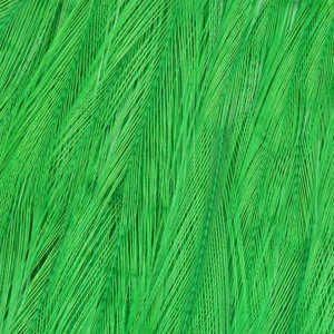 Bild på Indiska tuppnackar (AA Grade) Green Highlander