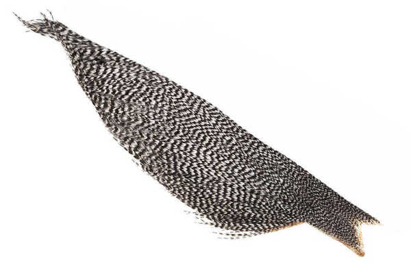 Bild på Whiting Bronze 1/2 Dry Fly Hackle
