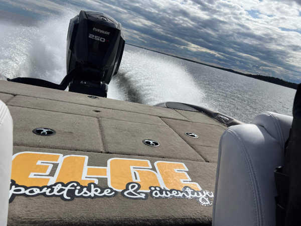 Bild på EL-GE Boat Carpet/Deck Sticker