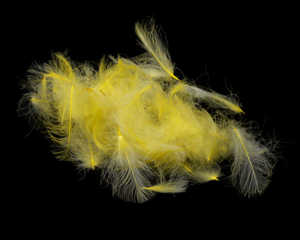 Bild på Fly Dressing Premium CDC Pale Yellow