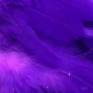 Bild på Schlappen Medium Purple