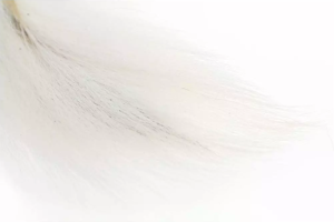 Bild på Flyco Bucktail/Hjortsvans Hel Medium Fluo White
