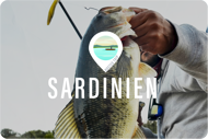 Bild på Bassfiske | Sardinien - "Hosted trip"
