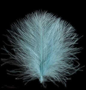 Bild på Swiss CDC Feathers Standard Pale Blue