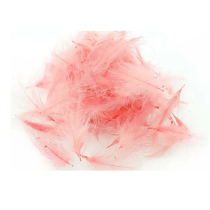 Bild på Swiss CDC Feathers Standard Light Pink